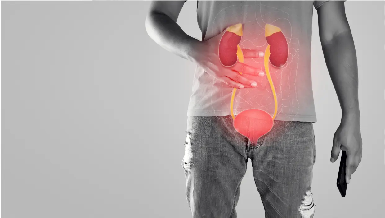 Urologia para todas as idades